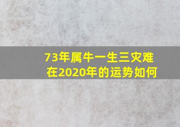 73年属牛一生三灾难在2020年的运势如何