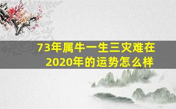 73年属牛一生三灾难在2020年的运势怎么样