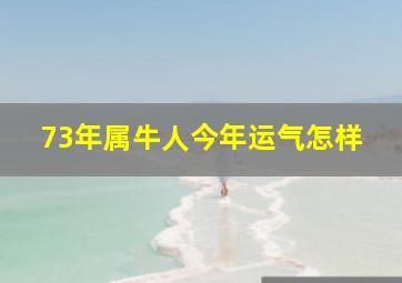 73年属牛人今年运气怎样