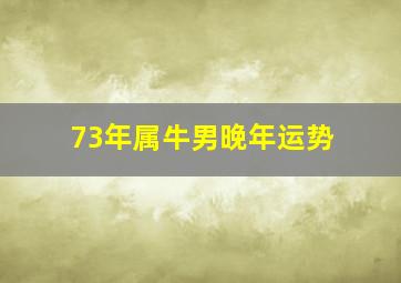 73年属牛男晚年运势