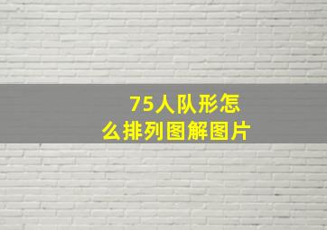 75人队形怎么排列图解图片