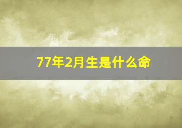 77年2月生是什么命