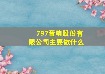 797音响股份有限公司主要做什么