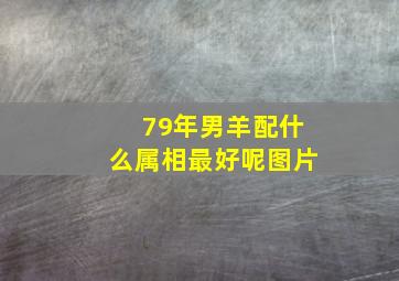 79年男羊配什么属相最好呢图片