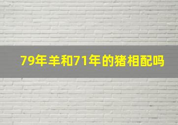 79年羊和71年的猪相配吗