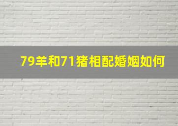 79羊和71猪相配婚姻如何