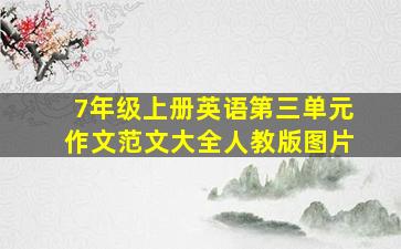 7年级上册英语第三单元作文范文大全人教版图片