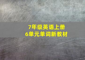 7年级英语上册6单元单词新教材