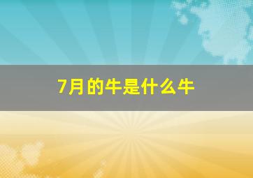 7月的牛是什么牛