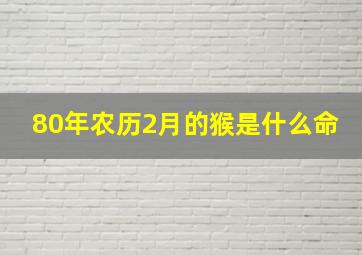 80年农历2月的猴是什么命