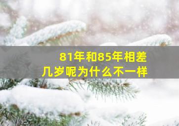 81年和85年相差几岁呢为什么不一样