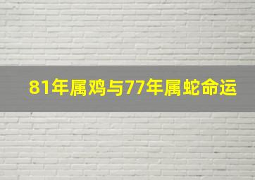 81年属鸡与77年属蛇命运