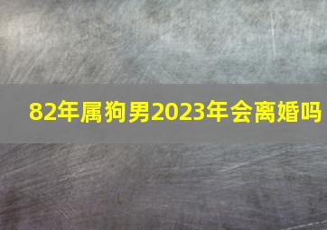 82年属狗男2023年会离婚吗