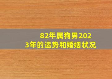 82年属狗男2023年的运势和婚姻状况