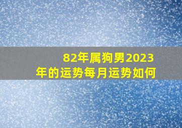 82年属狗男2023年的运势每月运势如何