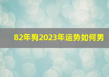 82年狗2023年运势如何男