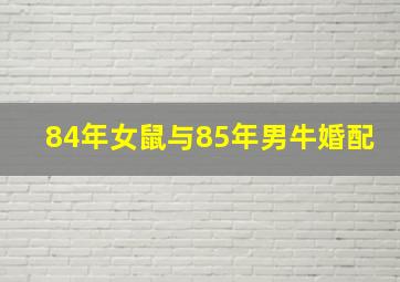 84年女鼠与85年男牛婚配