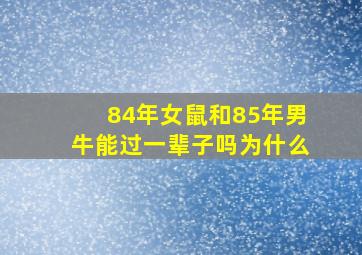 84年女鼠和85年男牛能过一辈子吗为什么