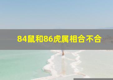 84鼠和86虎属相合不合