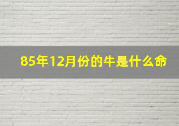 85年12月份的牛是什么命