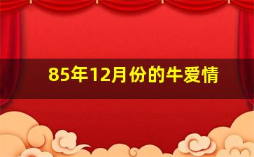 85年12月份的牛爱情