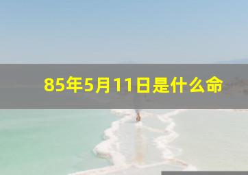 85年5月11日是什么命