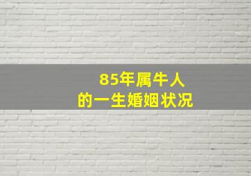 85年属牛人的一生婚姻状况