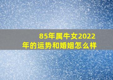 85年属牛女2022年的运势和婚姻怎么样