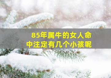 85年属牛的女人命中注定有几个小孩呢