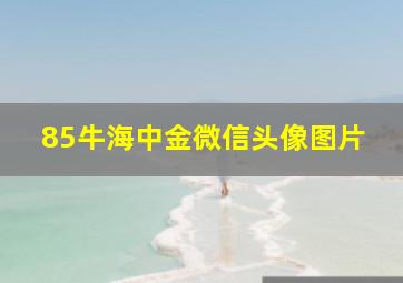 85牛海中金微信头像图片