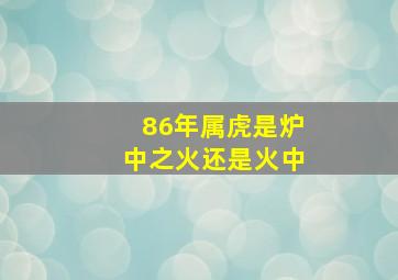 86年属虎是炉中之火还是火中