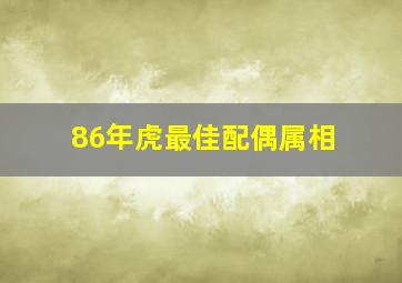 86年虎最佳配偶属相