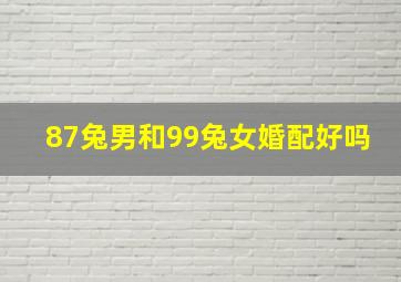 87兔男和99兔女婚配好吗