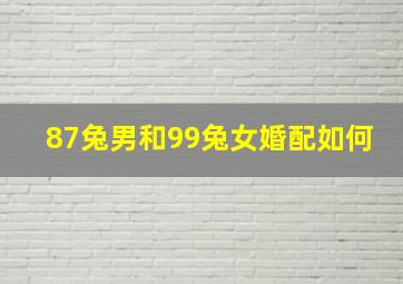 87兔男和99兔女婚配如何