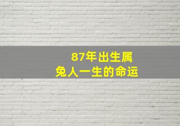 87年出生属兔人一生的命运