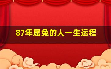 87年属兔的人一生运程