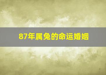 87年属兔的命运婚姻