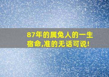 87年的属兔人的一生宿命,准的无话可说!