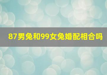 87男兔和99女兔婚配相合吗