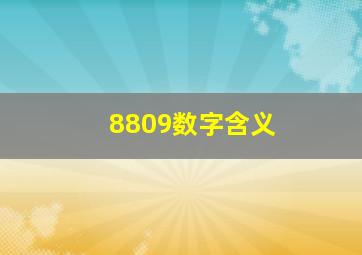 8809数字含义