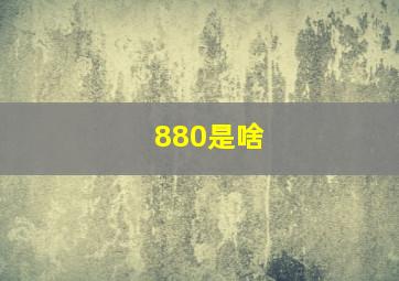 880是啥