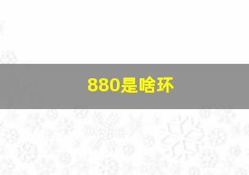 880是啥环