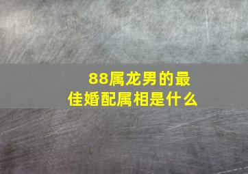 88属龙男的最佳婚配属相是什么