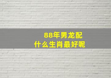 88年男龙配什么生肖最好呢