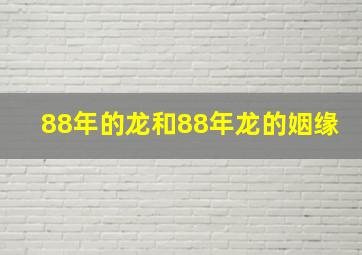 88年的龙和88年龙的姻缘