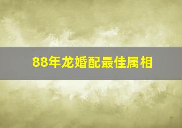 88年龙婚配最佳属相