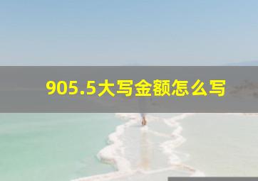 905.5大写金额怎么写