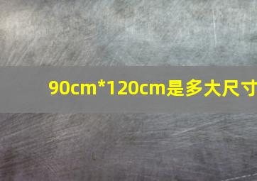 90cm*120cm是多大尺寸