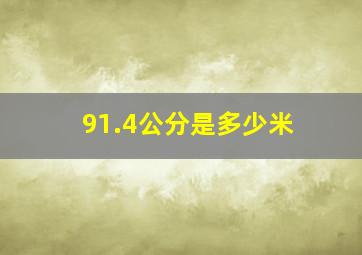 91.4公分是多少米