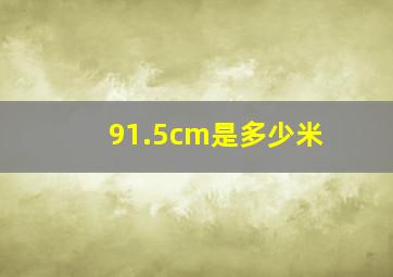 91.5cm是多少米